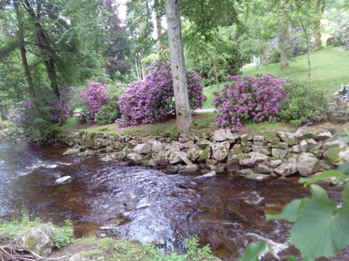 Ferienwohnung Talblick Mit Schwimmbad Bad Wildbad Exteriér fotografie